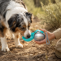 TrailSip™ Travel Bottle