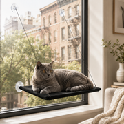 WindowWatch™ Cat Perch