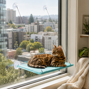 WindowWatch™ Cat Perch