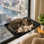 WindowWatch™ Cat Perch