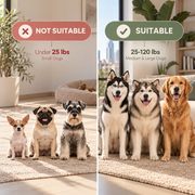 FreeStride™ Hands-Free Dog Leash
