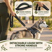 FreeStride™ Hands-Free Dog Leash